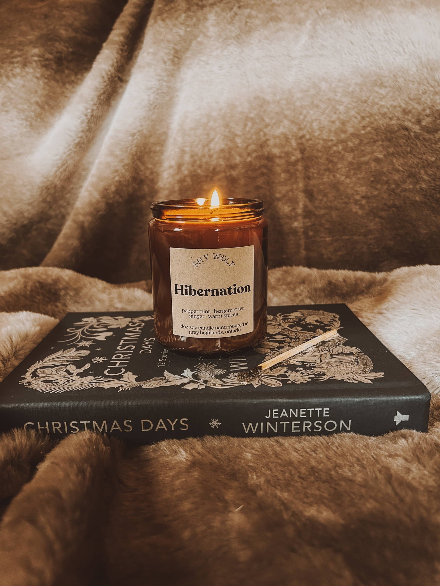 Hibernation