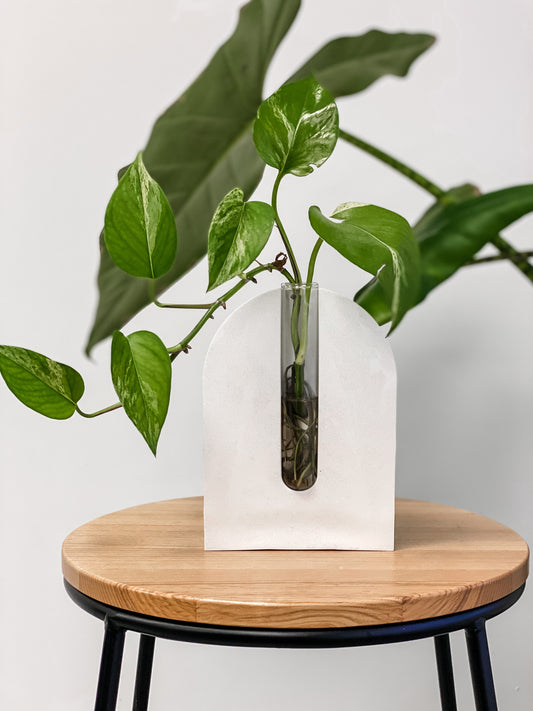 Arch Propagation Stand