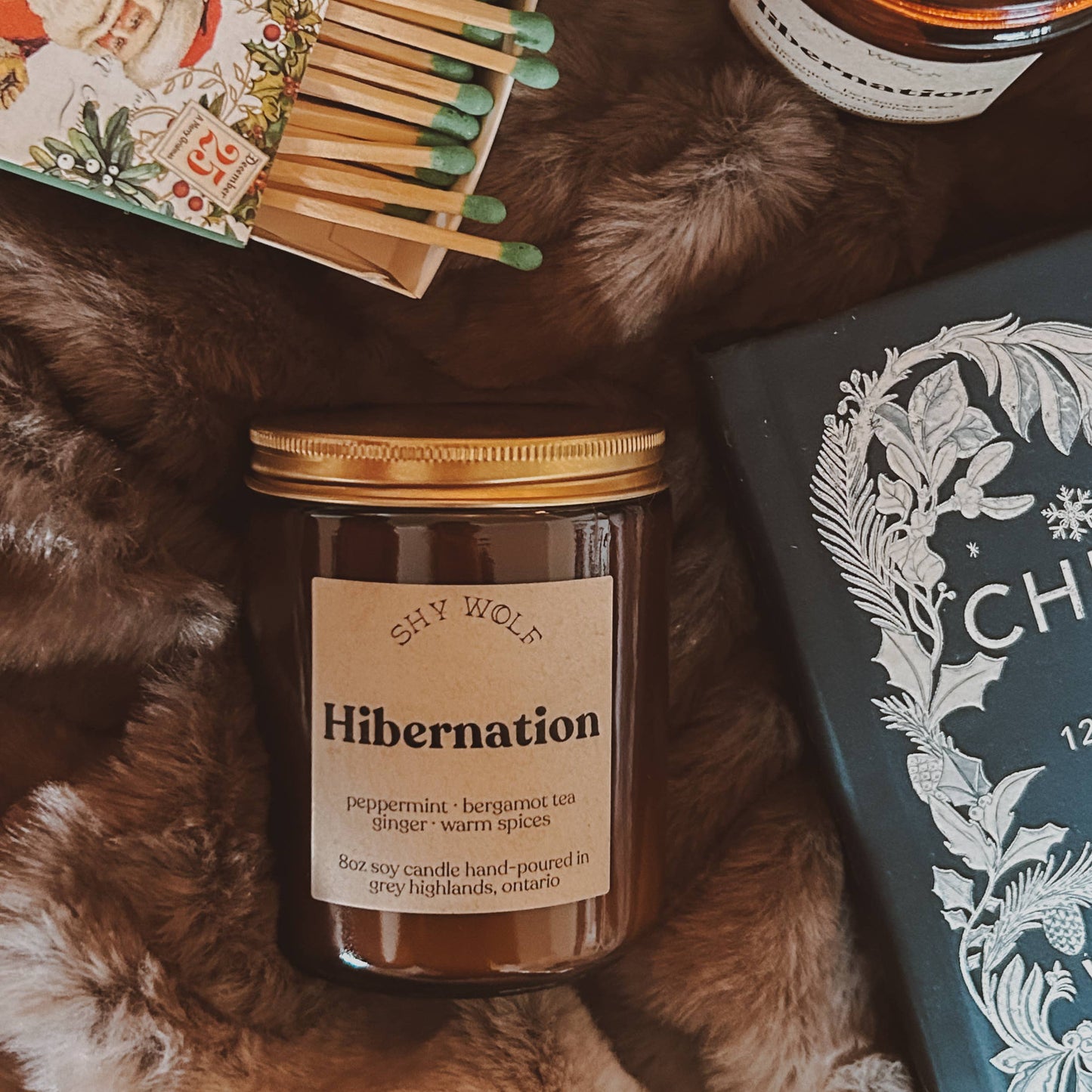 Hibernation