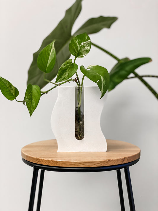 Wave Propagation Stand