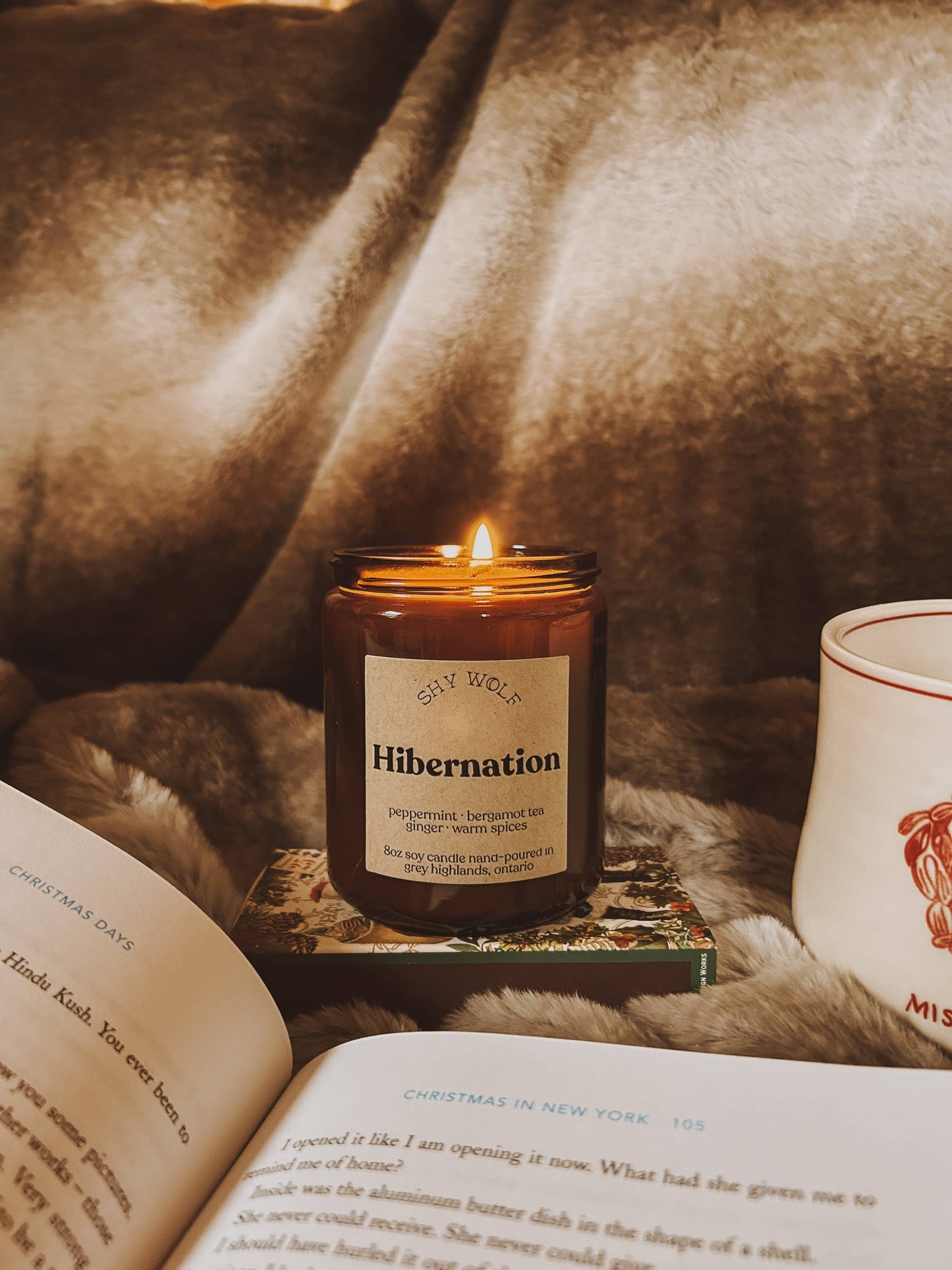 Hibernation