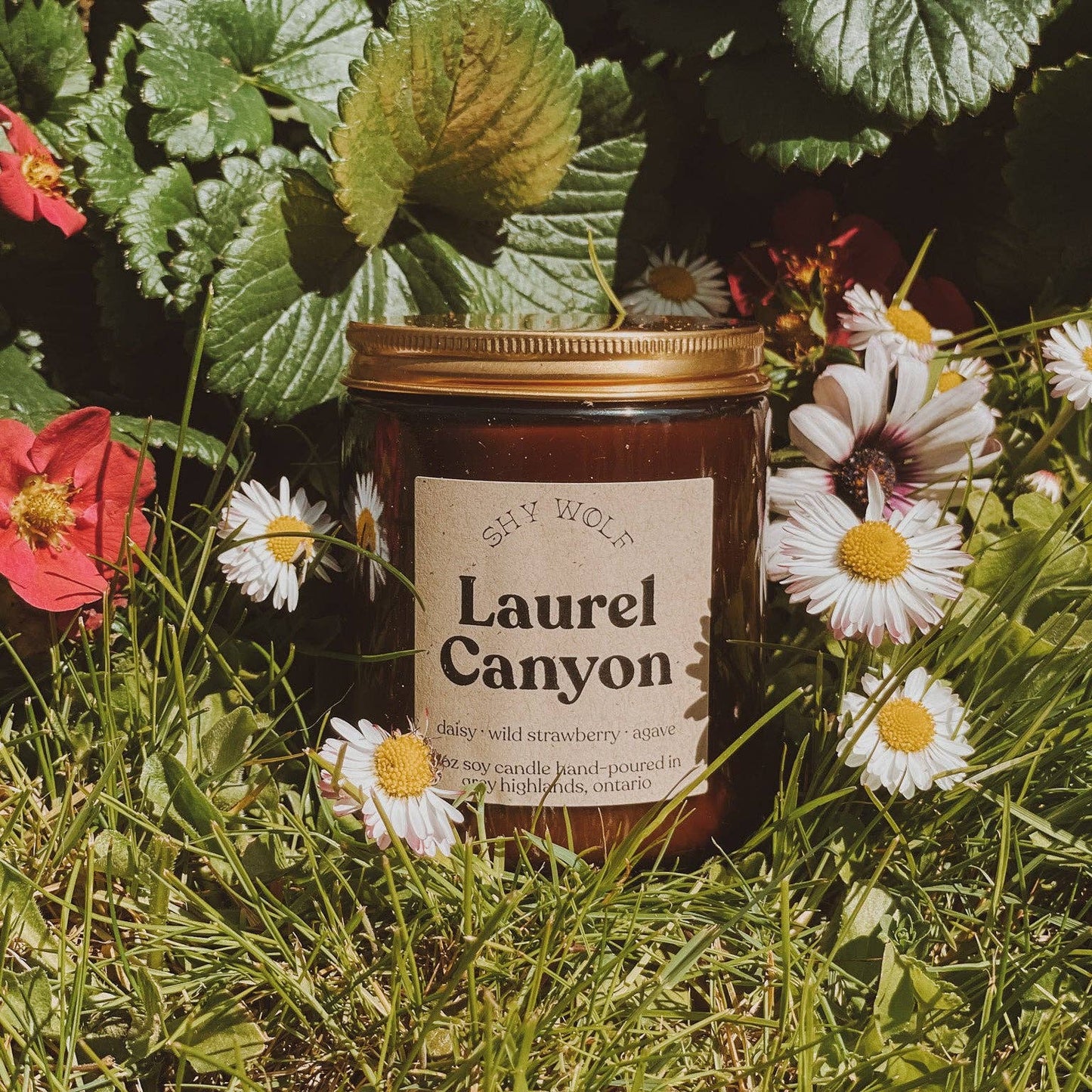 Laurel Canyon
