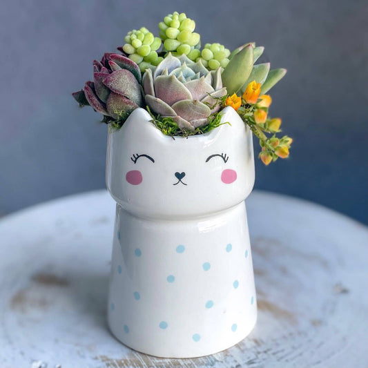 Standing Cat Planter Pot