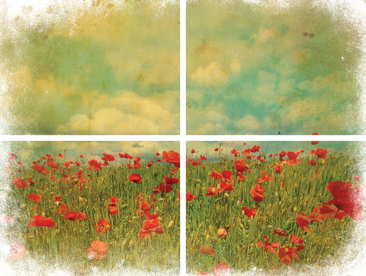 Field of Flowers Rub-On Transfer