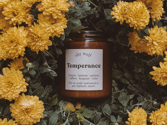Tarot Card Candle - Temperance
