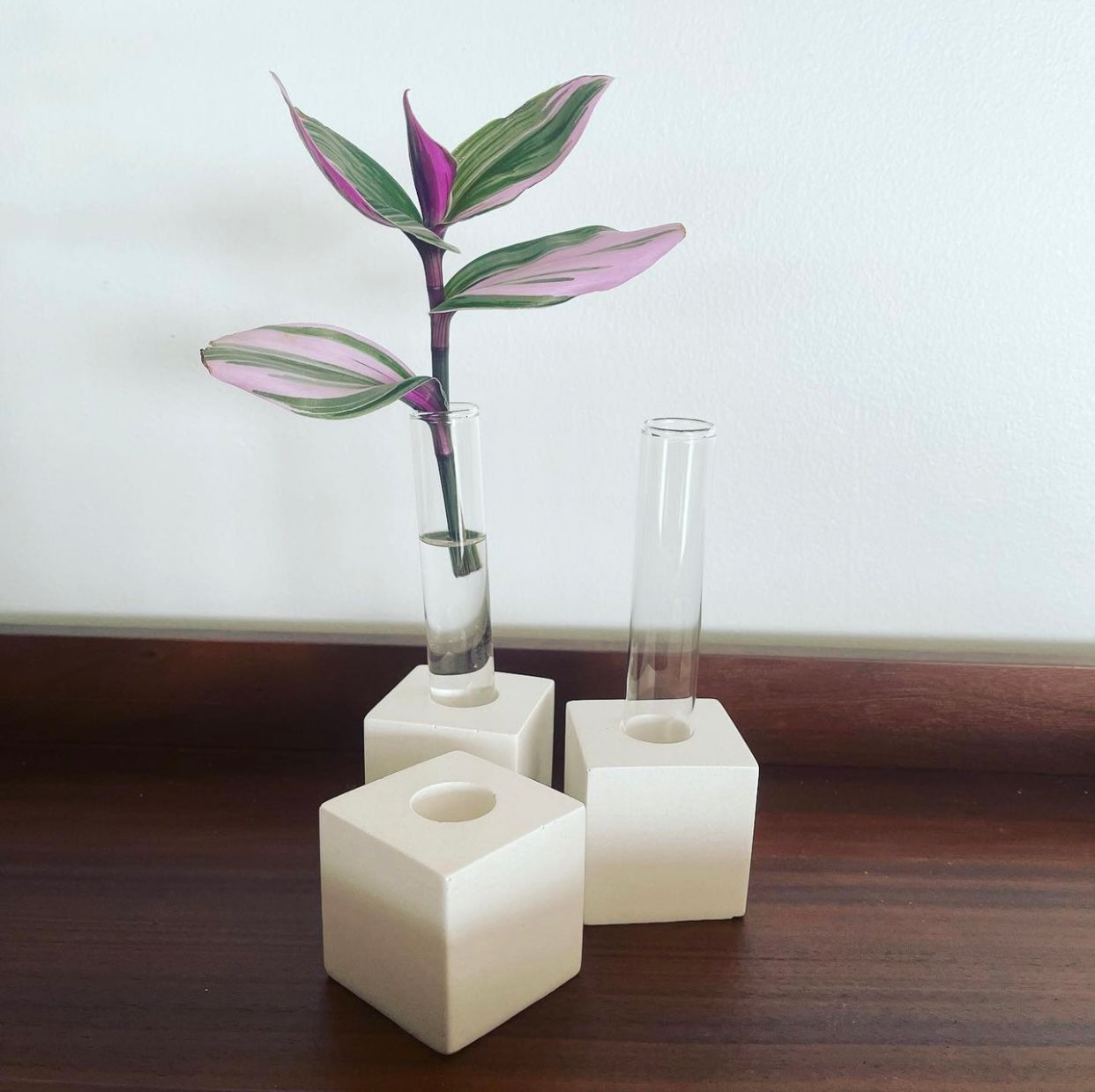Block Concrete Propagation Stand