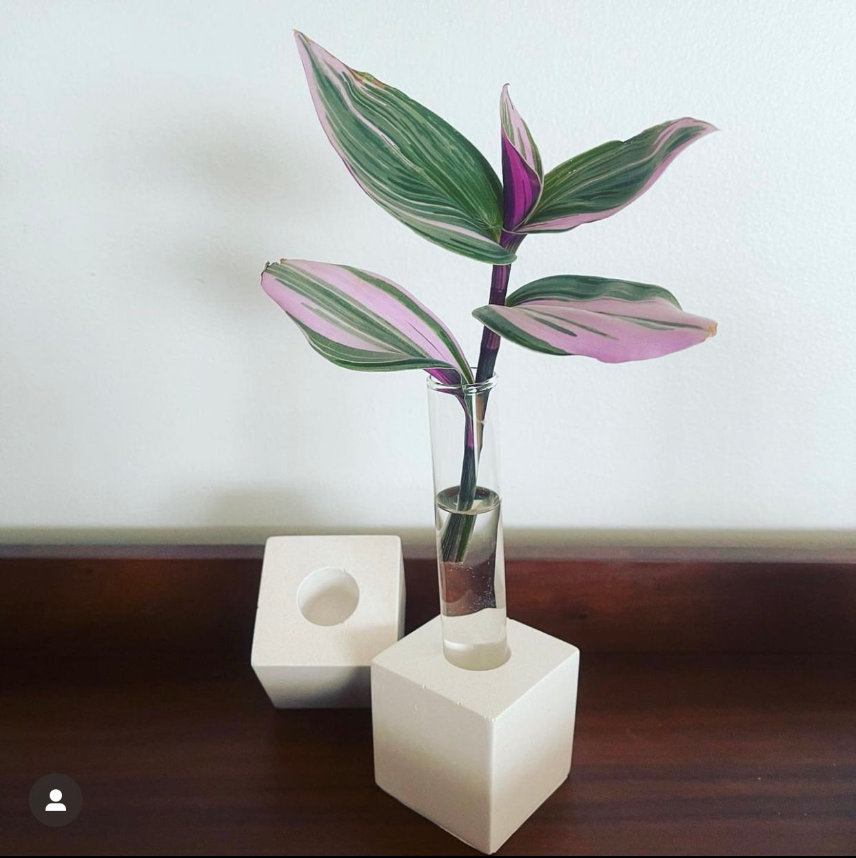 Block Concrete Propagation Stand
