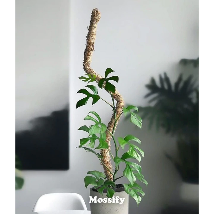Moss + Coir Poles