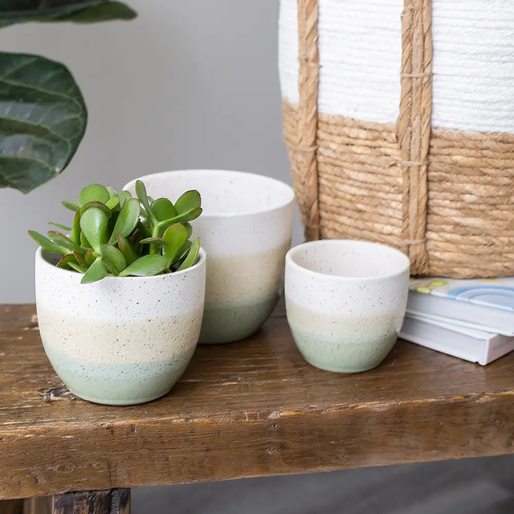 Pots + Planters