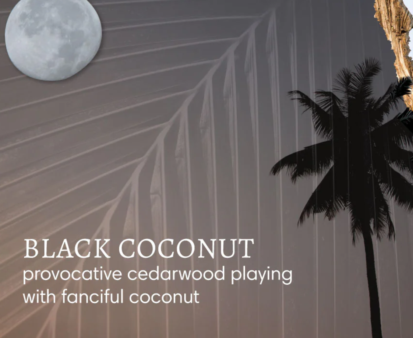 Black Coconut | Mini Hand Repair Balm
