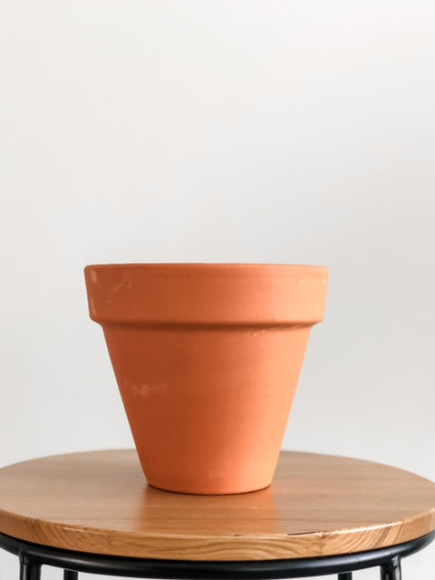 Plant/Slip Swap + Pot Painting 04|07 1:00PM