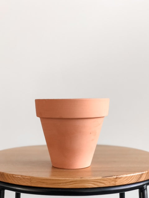Plant/Slip Swap + Pot Painting 04|07 1:00PM