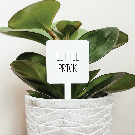Little Prick Plant Marker