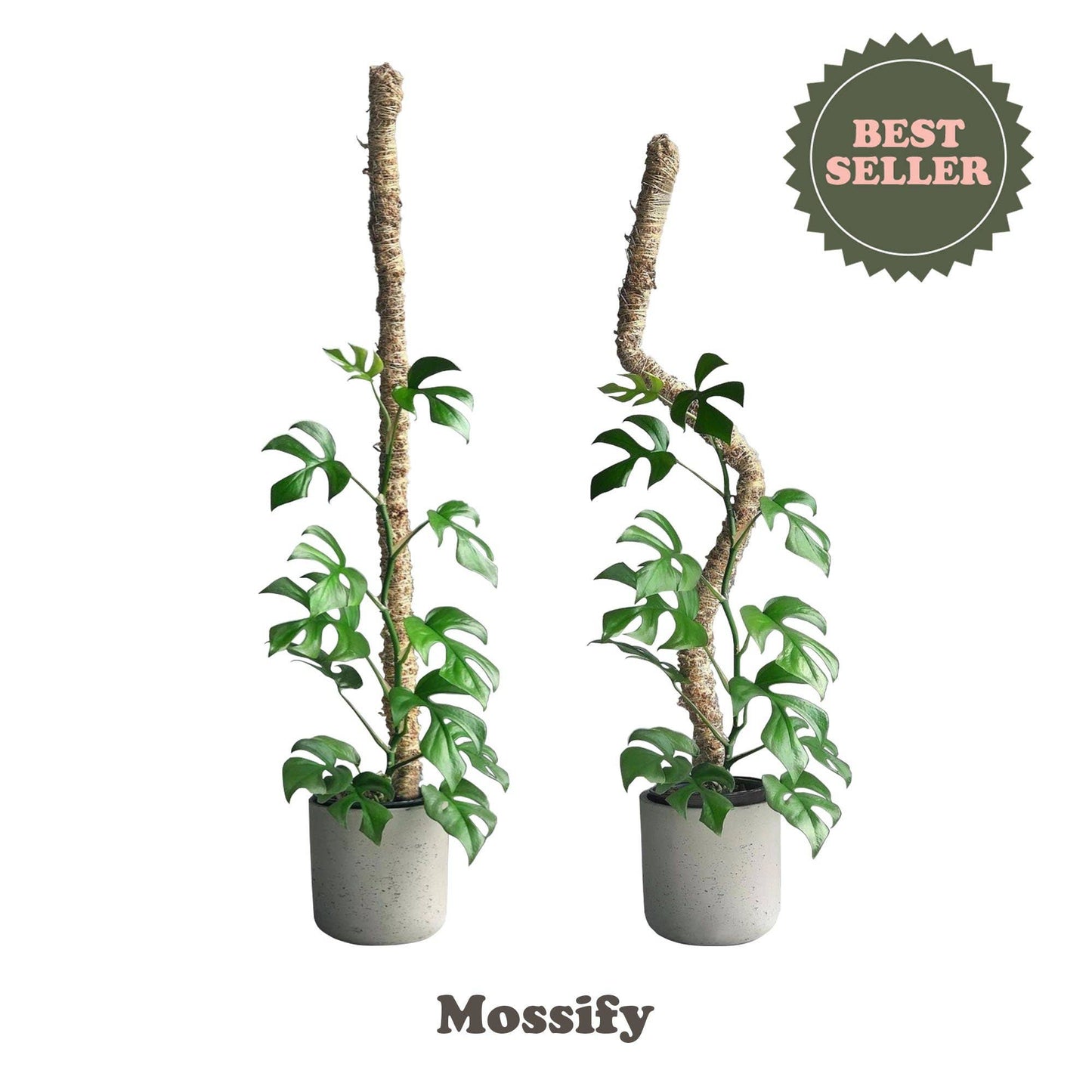 Bendable Moss Pole™ 30”
