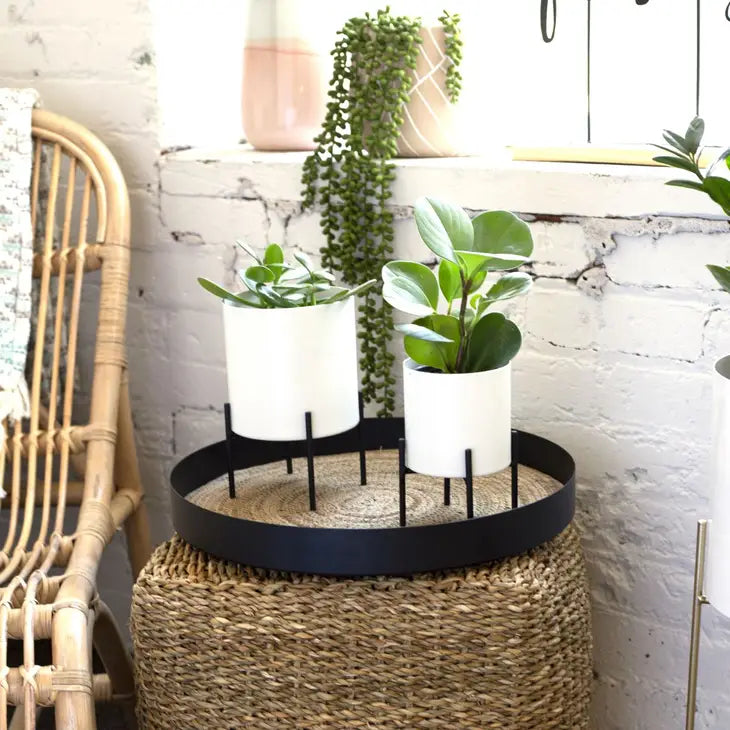 Metal Planters with Stands