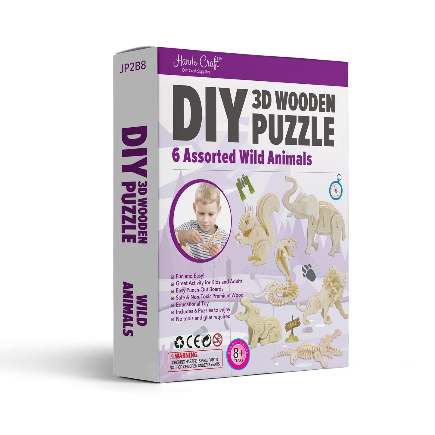 DIY 3D Wooden Puzzle 6ct