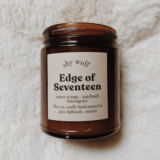 Edge of Seventeen