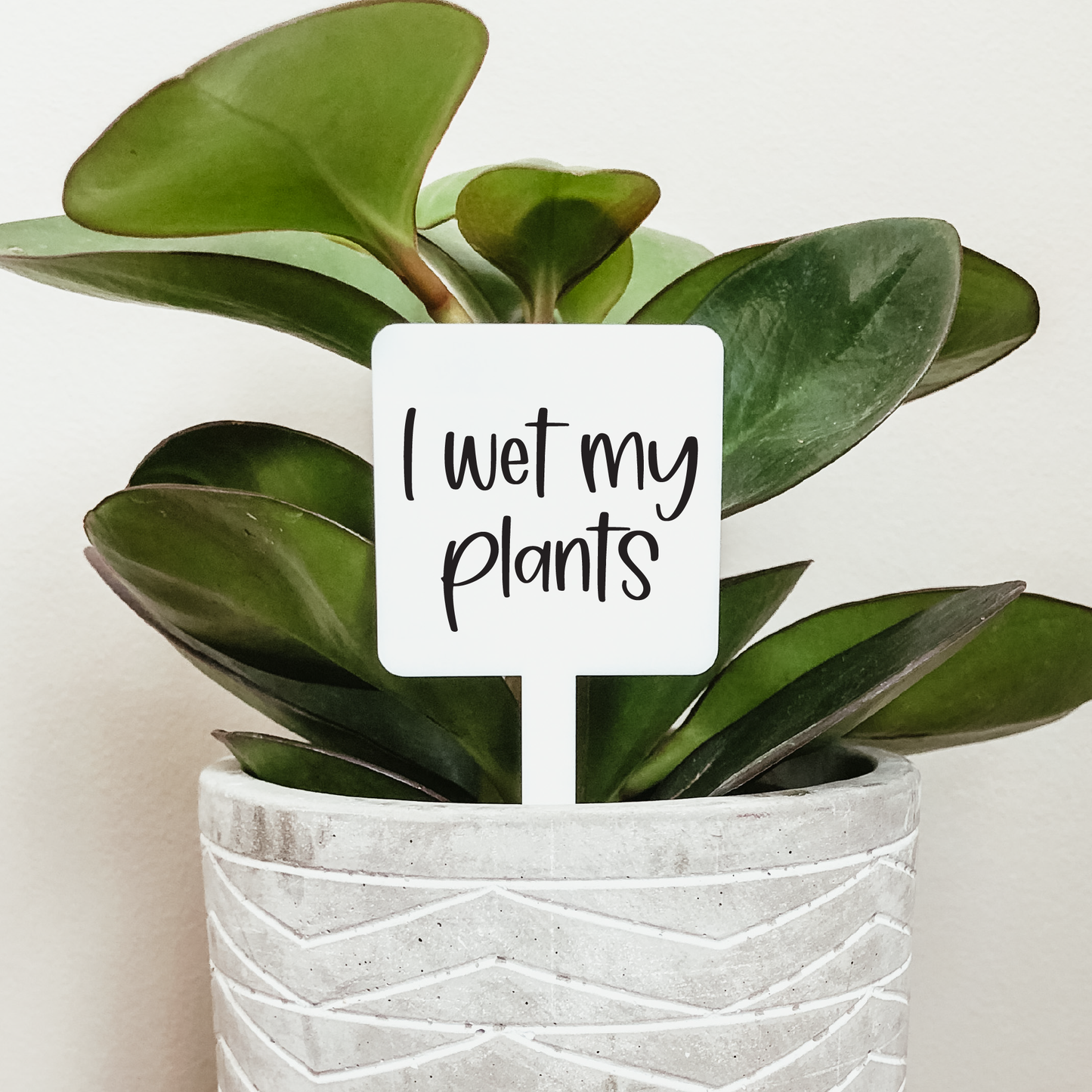 I Wet My Plants Plant Marker